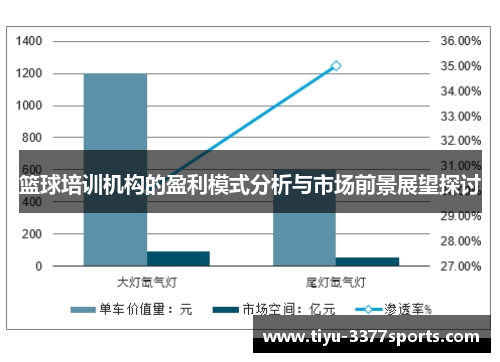 篮球培训机构的盈利模式分析与市场前景展望探讨