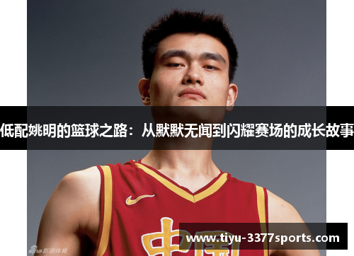 低配姚明的篮球之路：从默默无闻到闪耀赛场的成长故事